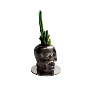 Cranium Vintage Flower Vase (7 ¾" X 7 ¾" X 7") Resin/Stainless Steel