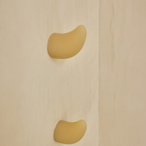 Relíquia, Rino G Hook (4 ¾" x 4" x 2 ¾") Resin
